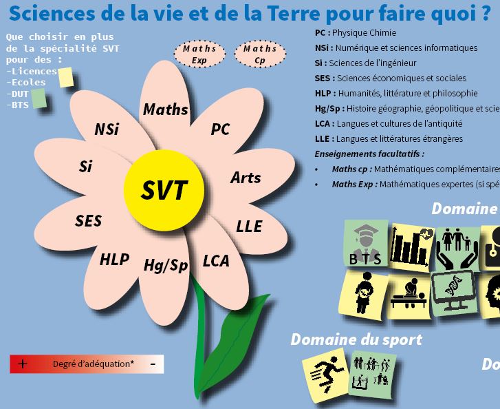 Résultat de recherche d'images pour "fleur de l'orientation"