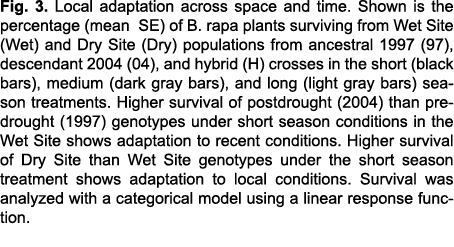 Fig  3  Local adaptation across space and time  Shown is the percentage (mean SE) of B  rapa plants surviving from We   