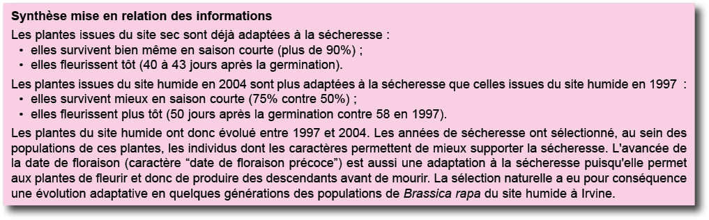 Synth se mise en relation des informations Les plantes issues du site sec sont d j  adapt es   la s cheresse : elles    