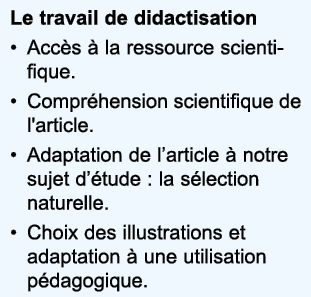 Le travail de didactisation Acc s   la ressource scientifique  Compr hension scientifique de l'article  Adaptation de   