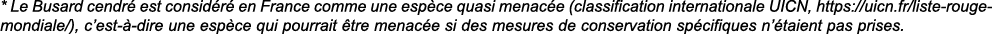 * Le Busard cendr  est consid r  en France comme une esp ce quasi menac e (classification internationale UICN, https:   