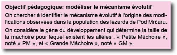 Objectif p dagogique: mod liser le m canisme  volutif On chercher   identifier le m canisme  volutif   l'origine des    