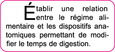  tablir une relation entre le r gime alimentaire et les dispositifs anatomiques permettant de modifier le temps de di   