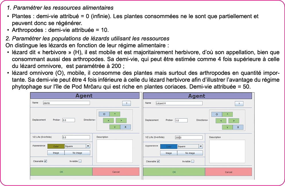 1  Param trer les ressources alimentaires Plantes : demi-vie attribu    0 (infinie)  Les plantes consomm es ne le son   