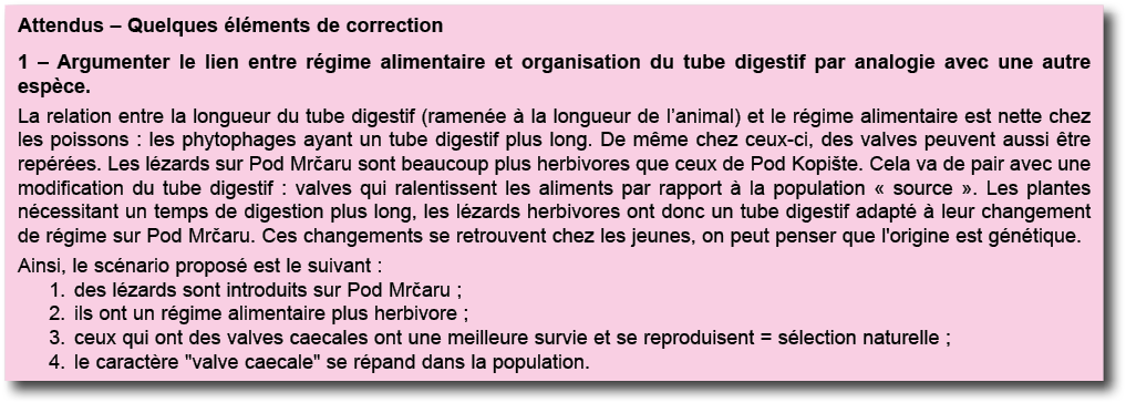 Attendus   Quelques  l ments de correction 1   Argumenter le lien entre r gime alimentaire et organisation du tube di   