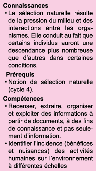 Connaissances La s lection naturelle r sulte de la pression du milieu et des interactions entre les organismes  Elle    