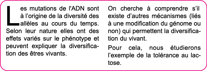 Les mutations de l'ADN sont   l origine de la diversit  des all les au cours du temps  Selon leur nature elles ont de   