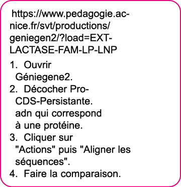 https:  www pedagogie ac-nice fr svt productions geniegen2  load EXT-LACTASE-FAM-LP-LNP Ouvrir G niegene2  D cocher P   