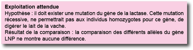 Exploitation attendue Hypoth se : il doit exister une mutation du g ne de la lactase  Cette mutation r cessive, ne pe   