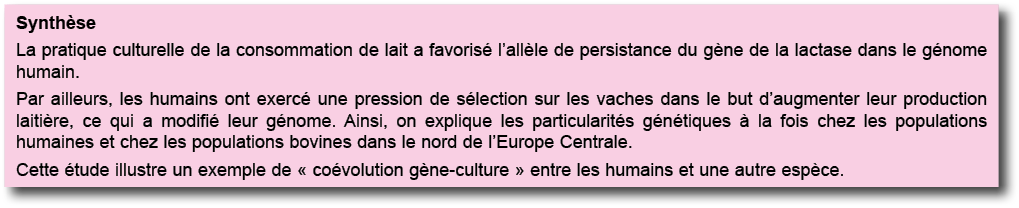Synth se La pratique culturelle de la consommation de lait a favoris  l all le de persistance du g ne de la lactase d   