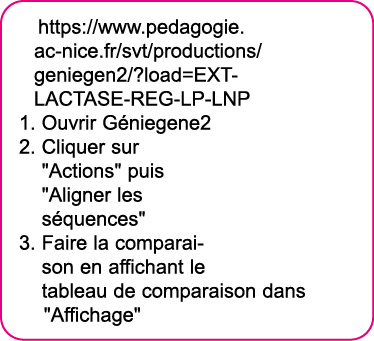 https:  www pedagogie ac-nice fr svt productions geniegen2  load EXT-LACTASE-REG-LP-LNP Ouvrir G niegene2 Cliquer sur   