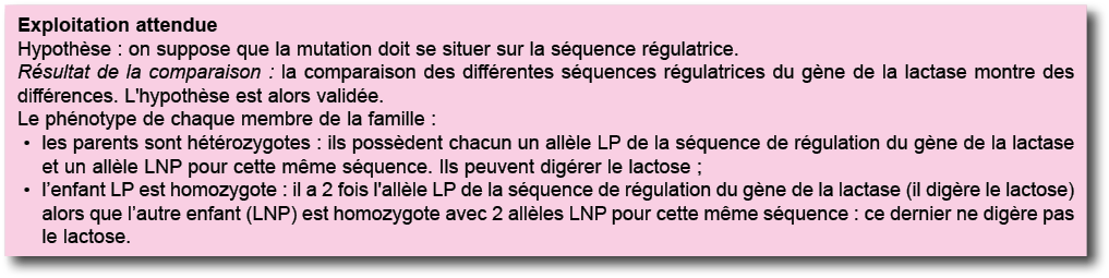 Exploitation attendue Hypoth se : on suppose que la mutation doit se situer sur la s quence r gulatrice  R sultat de    