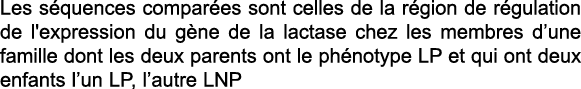 Les s quences compar es sont celles de la r gion de r gulation de l'expression du g ne de la lactase chez les membres   