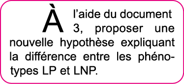   l aide du document 3, proposer une nouvelle hypoth se expliquant la diff rence entre les ph notypes LP et LNP  