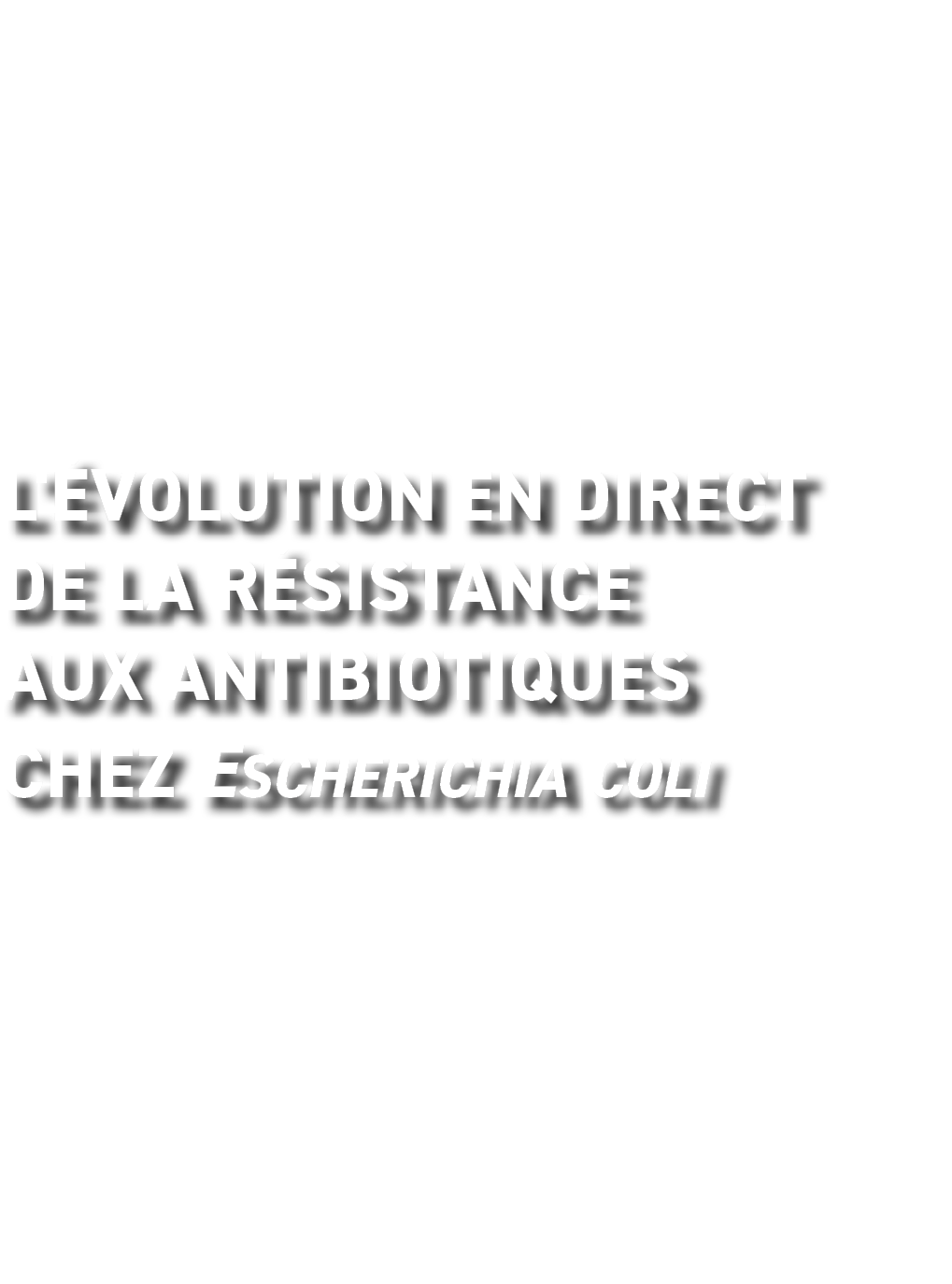 L' volution en direct de la r sistance Aux antibiotiques Chez Escherichia coli