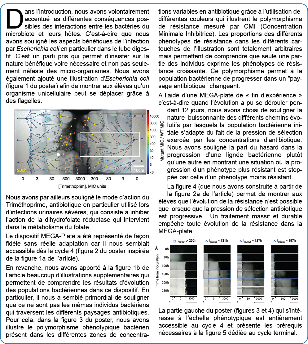 Dans l introduction, nous avons volontairement accentu  les diff rentes cons quences possibles des interactions entre   