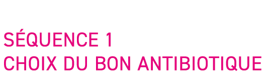 S quence 1 Choix du bon antibiotique