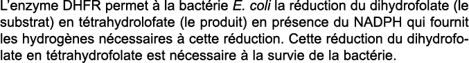 L enzyme DHFR permet   la bact rie E  coli la r duction du dihydrofolate (le substrat) en t trahydrolofate (le produi   