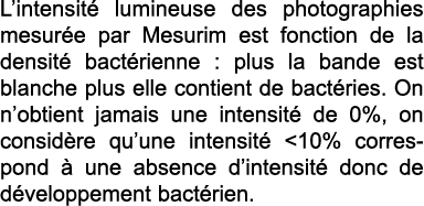 L intensit  lumineuse des photographies mesur e par Mesurim est fonction de la densit  bact rienne : plus la bande es   