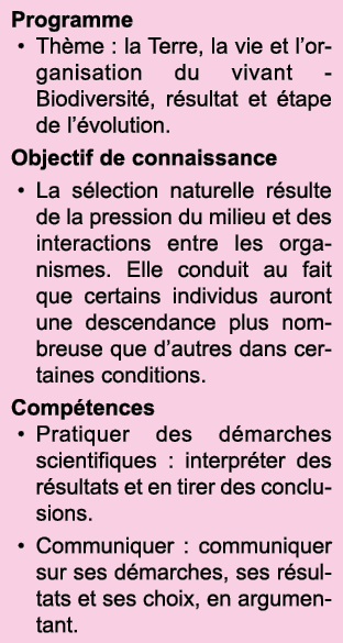 Programme Th me : la Terre, la vie et l organisation du vivant - Biodiversit , r sultat et  tape de l  volution  Obje   