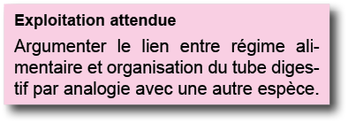 Exploitation attendue Argumenter le lien entre r gime alimentaire et organisation du tube digestif par analogie avec    