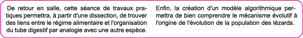 De retour en salle, cette s ance de travaux pratiques permettra,   partir d'une dissection, de trouver des liens entr   