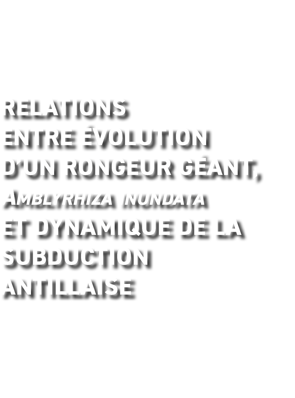 Relations entre  volution d un rongeur g ant, Amblyrhiza inundata et dynamique de la subduction antillaise 