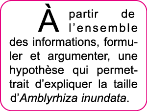   partir de l ensemble des informations, formuler et argumenter, une hypoth se qui permettrait d expliquer la taille    