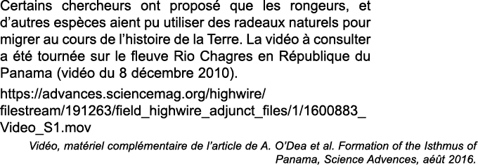 Certains chercheurs ont propos  que les rongeurs, et d autres esp ces aient pu utiliser des radeaux naturels pour mig   