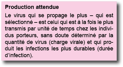 Production attendue Le virus qui se propage le plus   qui est s lectionn    est celui qui est   la fois le plus trans   