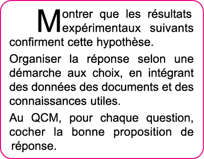 Montrer que les r sultats exp rimentaux suivants confirment cette hypoth se  Organiser la r ponse selon une d marche    