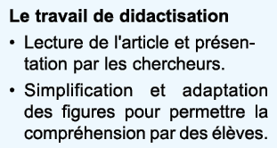 Le travail de didactisation Lecture de l'article et pr sentation par les chercheurs  Simplification et adaptation des   