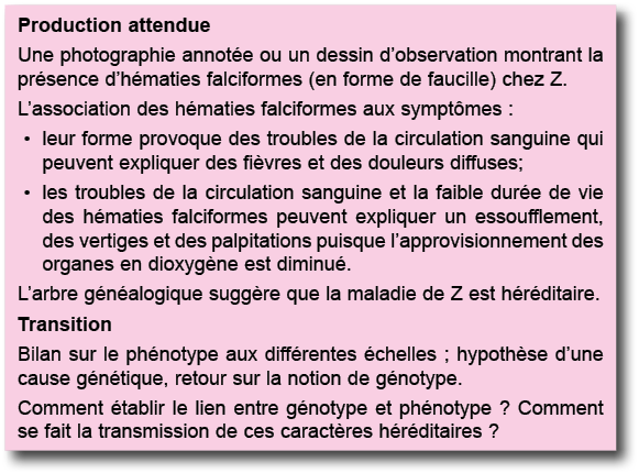 Production attendue Une photographie annot e ou un dessin d observation montrant la pr sence d h maties falciformes (   