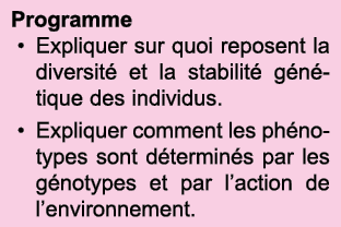 Programme Expliquer sur quoi reposent la diversit  et la stabilit  g n tique des individus  Expliquer comment les ph    