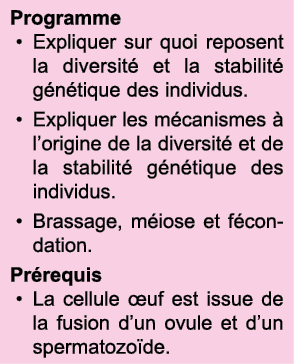 Programme Expliquer sur quoi reposent la diversit  et la stabilit  g n tique des individus  Expliquer les m canismes    