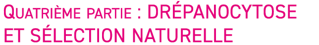 Quatri me partie : dr panocytose et s lection naturelle