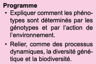 Programme Expliquer comment les ph notypes sont d termin s par les g notypes et par l action de l environnement  Reli   
