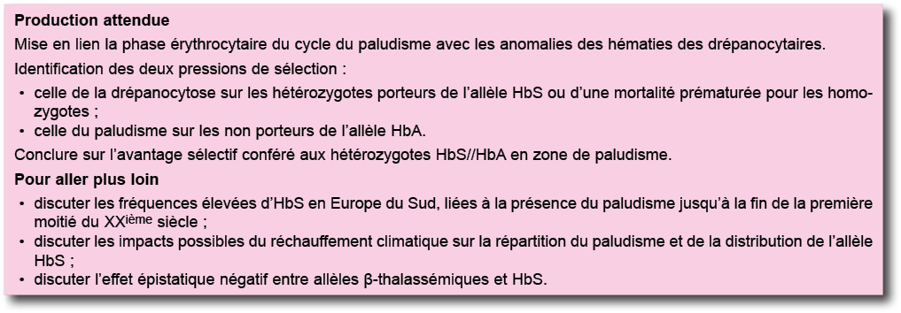 Production attendue Mise en lien la phase  rythrocytaire du cycle du paludisme avec les anomalies des h maties des dr   