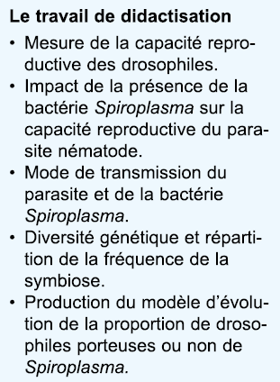 Le travail de didactisation Mesure de la capacit  reproductive des drosophiles  Impact de la pr sence de la bact rie    