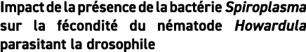 Impact de la pr sence de la bact rie Spiroplasma sur la f condit  du n matode Howardula parasitant la drosophile