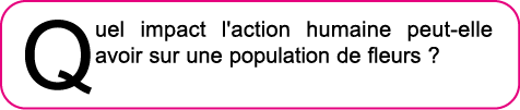 Quel impact l'action humaine peut-elle avoir sur une population de fleurs  