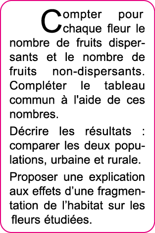 Compter pour chaque fleur le nombre de fruits dispersants et le nombre de fruits non-dispersants  Compl ter le tablea   