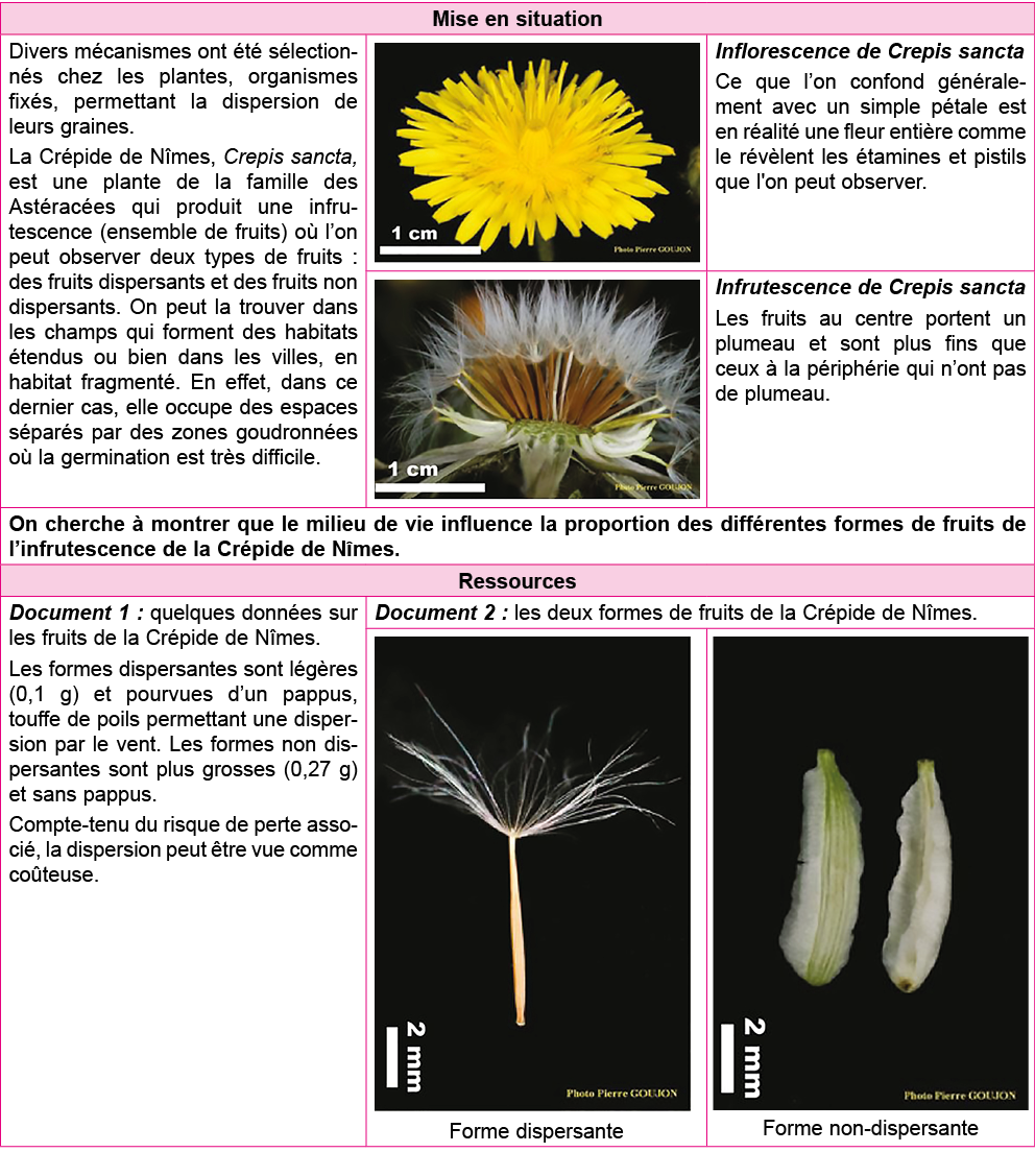 Mise en situation,Divers m canismes ont  t  s lection-n s chez les plantes, organismes fix s, permettant la dispersio   
