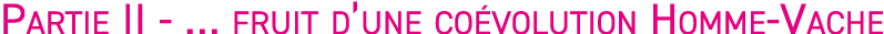 Partie II -   fruit d une co volution Homme-Vache 