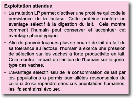 Exploitation attendue La mutation LP permet d activer une prot ine qui code la persistance de la lactase  Cette prot    