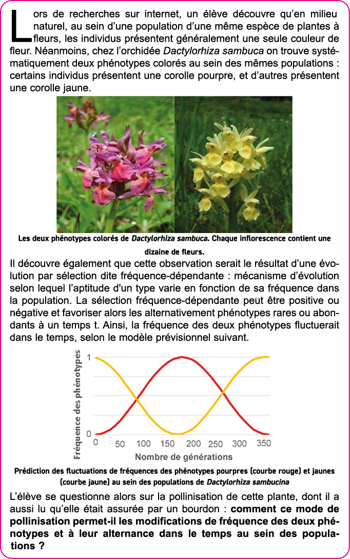 Lors de recherches sur internet, un  l ve d couvre qu en milieu naturel, au sein d une population d une m me esp ce d   
