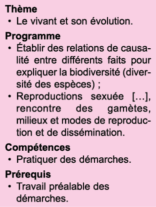 Th me Le vivant et son  volution  Programme  tablir des relations de causalit  entre diff rents faits pour expliquer    
