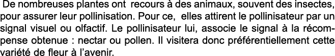  De nombreuses plantes ont recours   des animaux, souvent des insectes, pour assurer leur pollinisation  Pour ce, ell   
