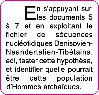 En s'appuyant sur les documents 5   7 et en exploitant le fichier de s quences nucl otidiques Denisovien-Neandertalie   
