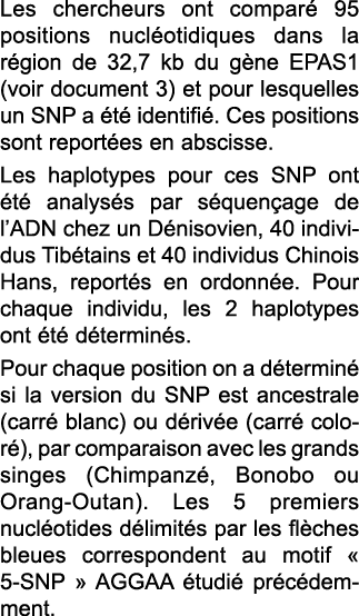 Les chercheurs ont compar  95 positions nucl otidiques dans la r gion de 32,7 kb du g ne EPAS1 (voir document 3) et p   